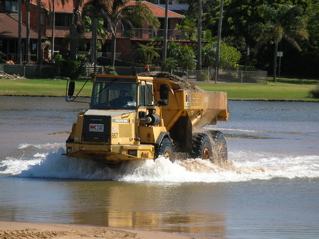 photo of the tipper swimming