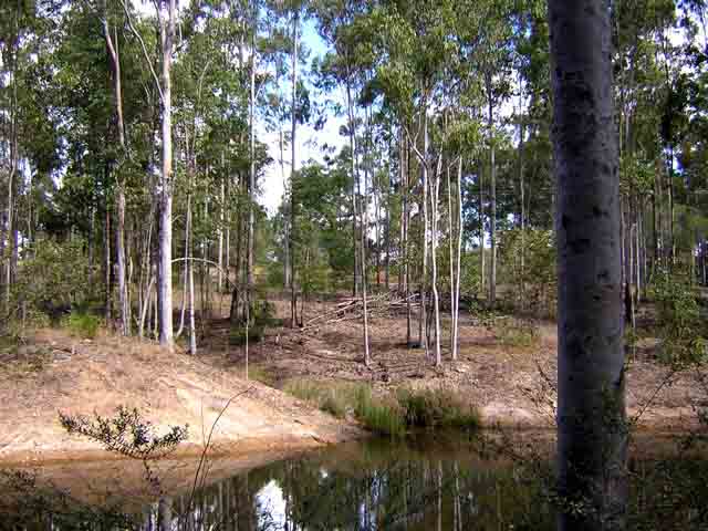 the western creek