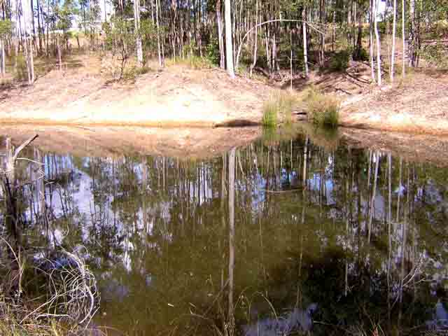 the western creek