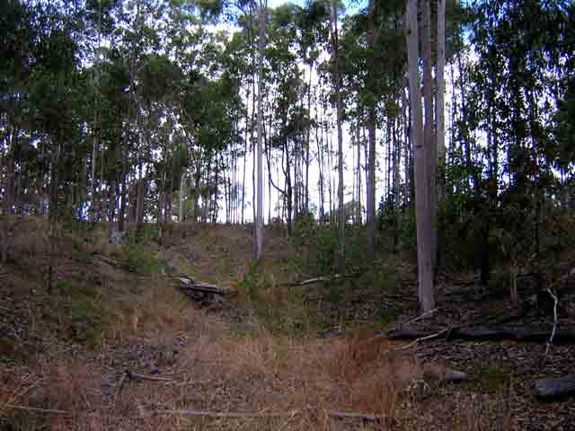 the eastern creek