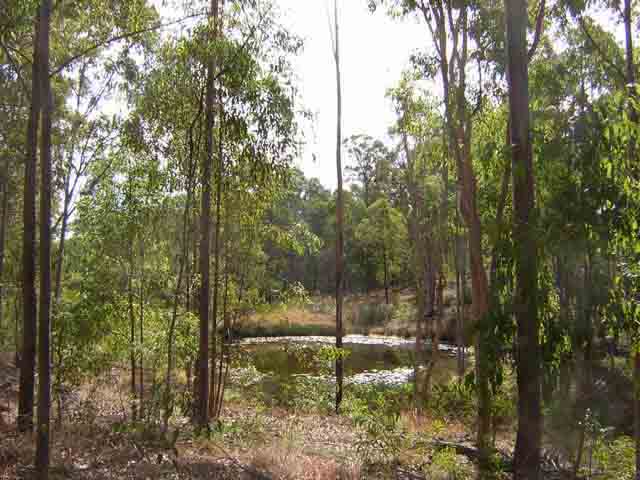 the neighbours dam